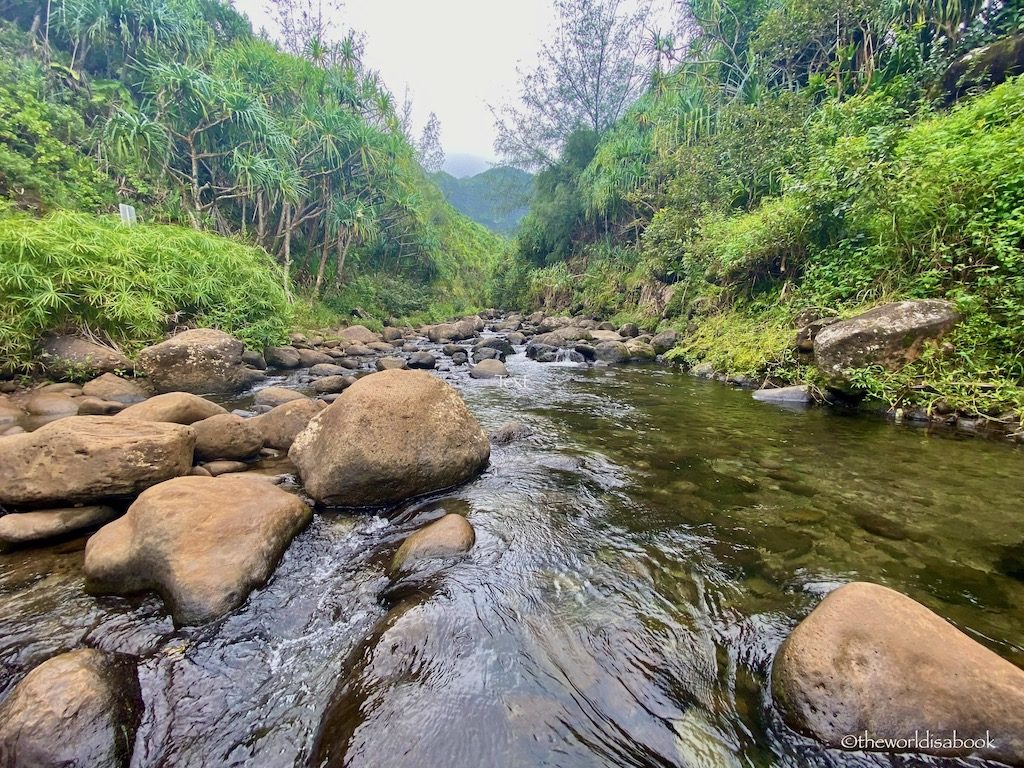 Kalalau Trail stream Kauai