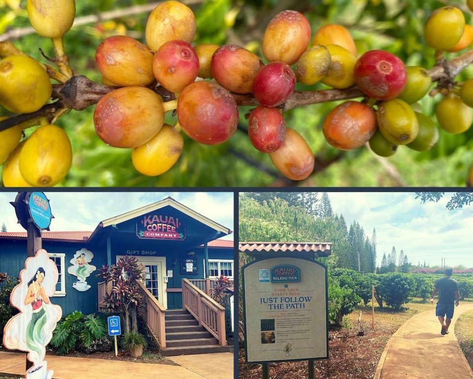 Kauai Coffee Company