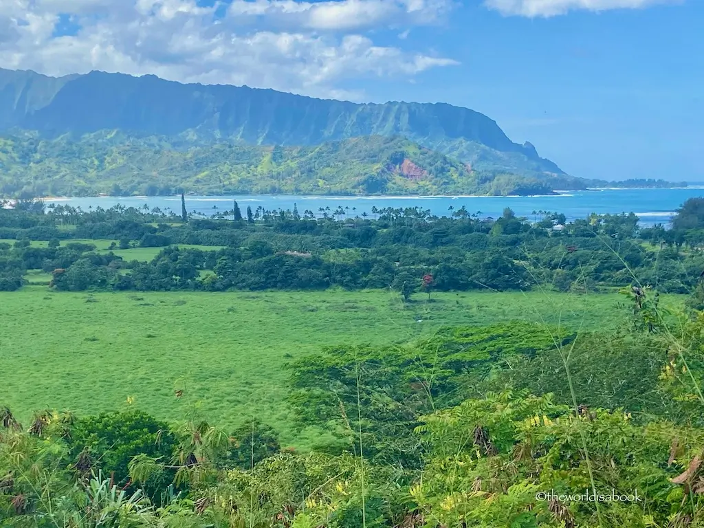 Kauai Hanalei view