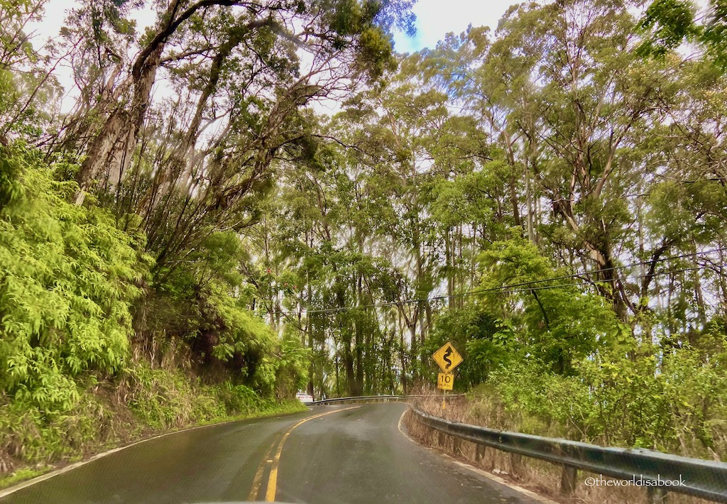Maui Road to Hana Rainforest