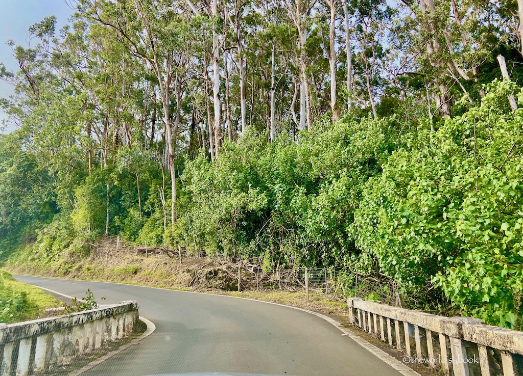 Maui Road to Hana