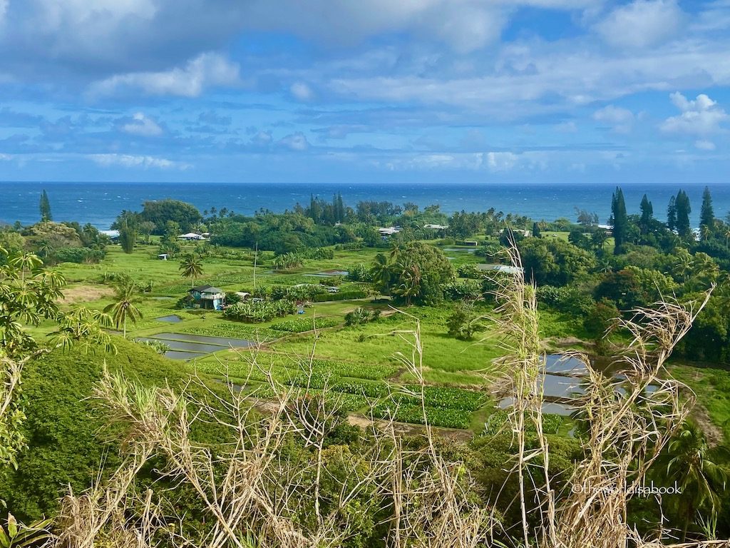 Maui Wailua Valley Lookout