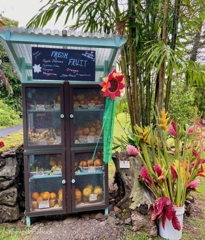 Road to Hana fruit stand