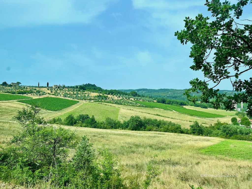 Greve In Chianti scenery