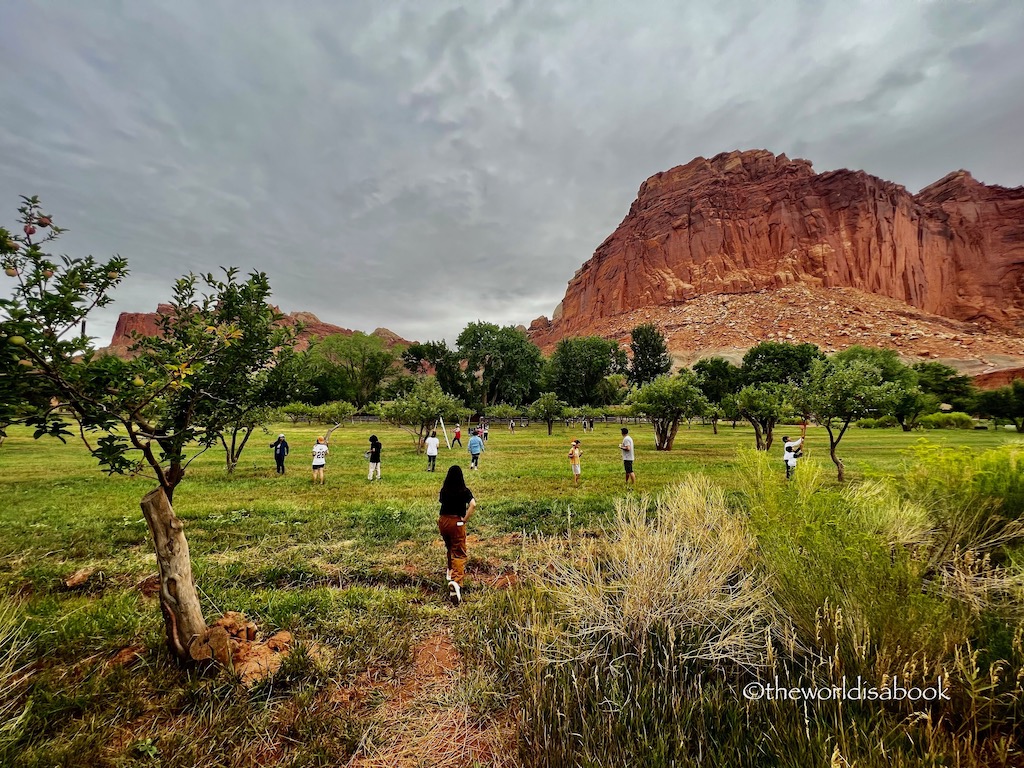 Capitol Reef National Park Fruita Orchard