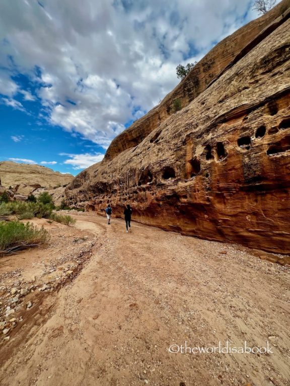 Capitol Reef National Park Grand Wash Trail