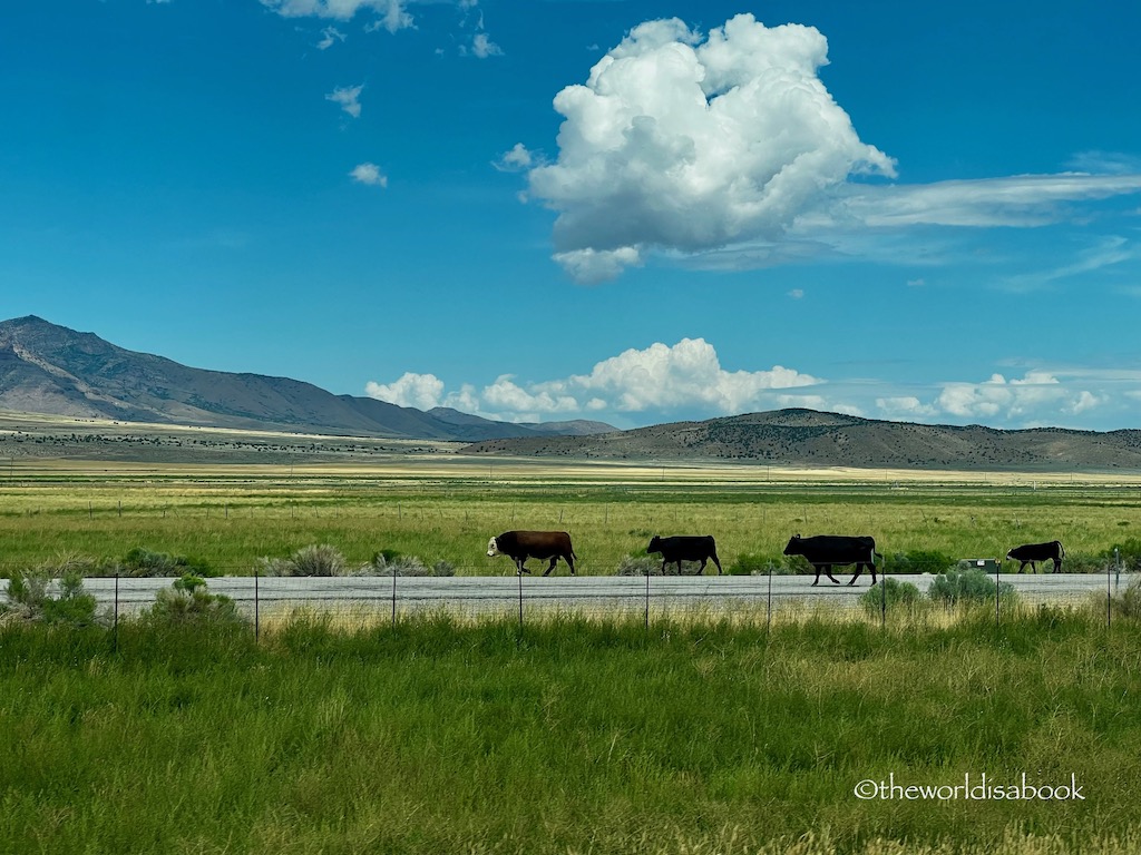 Utah scenic road