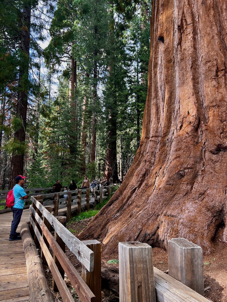 Sequoia National Park