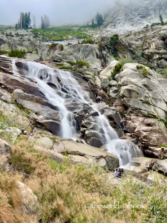 Tokopah Falls Sequoia