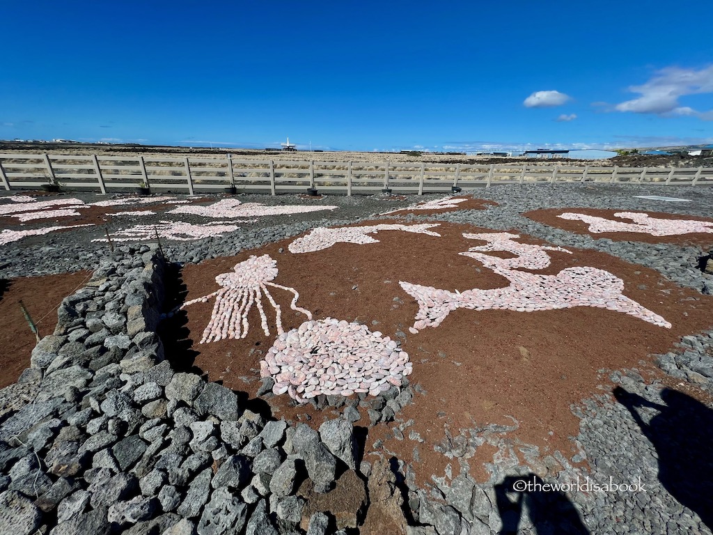 Big Island Abalone Farm art