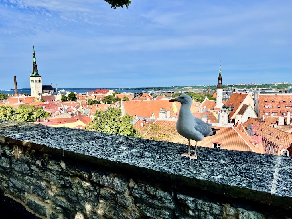 Old Town Tallinn